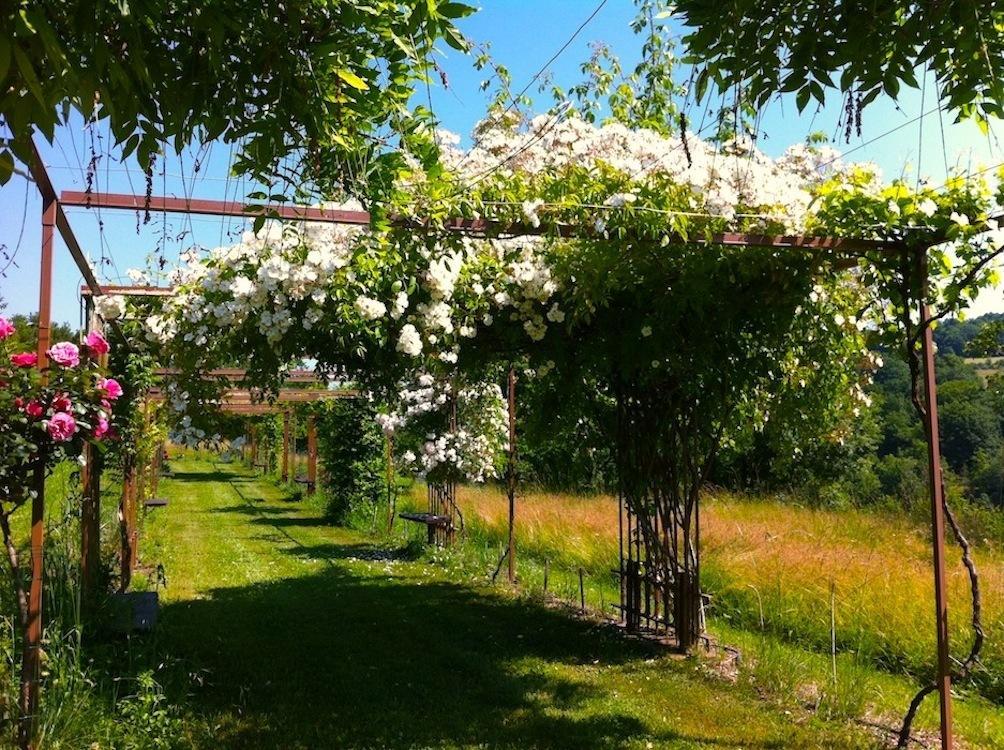 Boussac  Mas Del Lum B&B 외부 사진